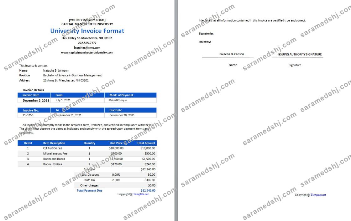 Free University Invoice Format Template